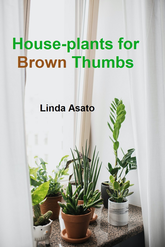 Houseplants for Brown Thumbs